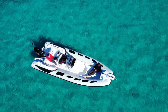 Dolphins Rib boat (up 6 people) Private - Final Thoughts