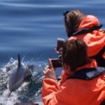 Dolphins Watching - Portimão - An In-Depth Look at the Dolphin Watching Tour in Portimão