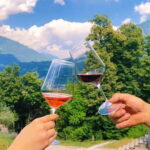 Domodossola: Savor Wines & Local Treats in a Scenic Vineyard - The Itinerary: What to Expect