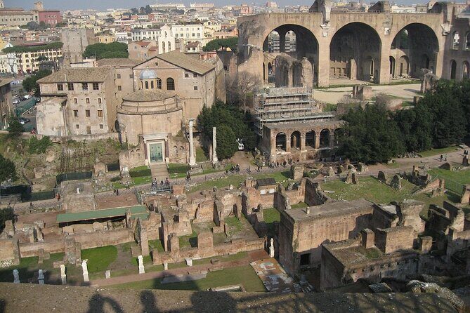 Domus Tiberiana and The Ruins of Ancient Rome Guided Tour - Palatine Hill
