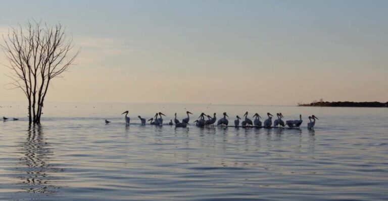 Door County Historic Cottage Row & Strawberry Islands Cruise - FAQ
