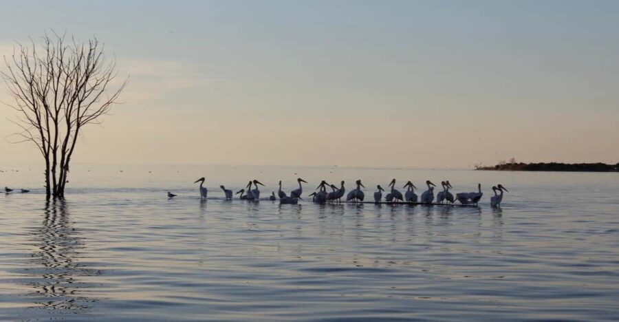 Door County Historic Cottage Row & Strawberry Islands Cruise - FAQ