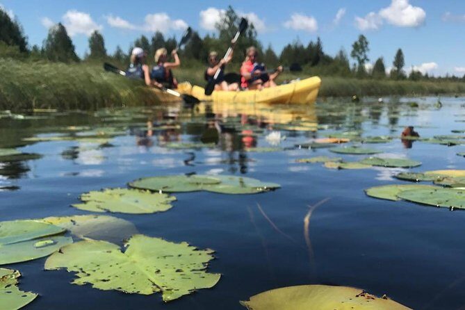 Door County Wetlands Kayak Tour - Frequently Asked Questions