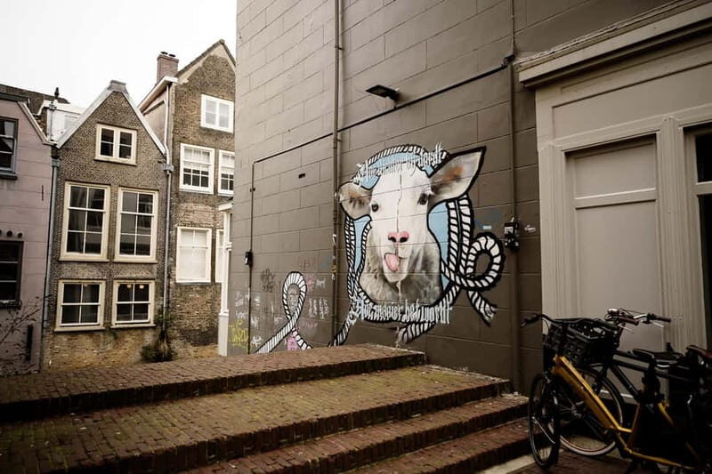Dordrecht: Street Art Tour - Who Will Love This Tour?
