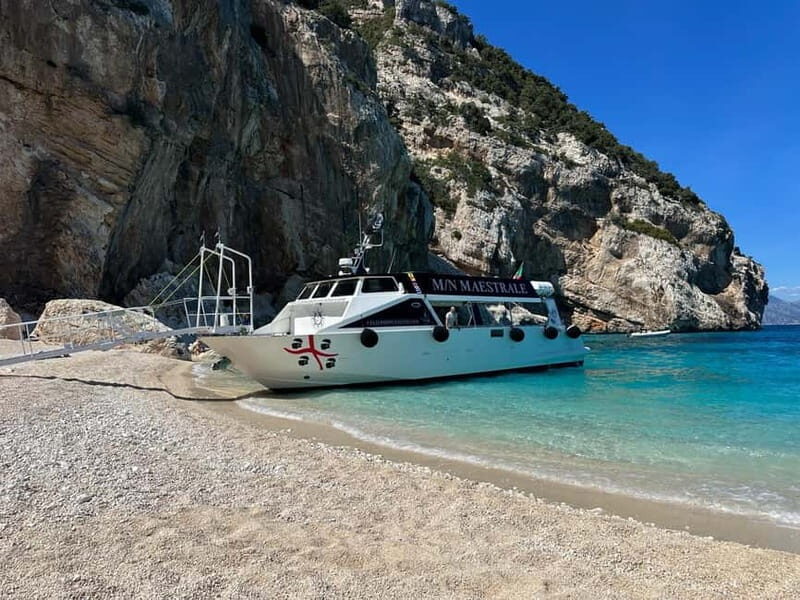 Dorgali: Cala Luna Boat Trip - Who Should Consider This Tour?