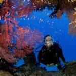 Double dive - Final Thoughts