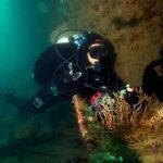 Double Dive in Cascais - go further and go under! - Authenticity & Environmental Responsibility