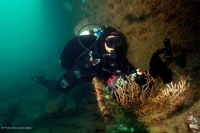 Double Dive in Cascais - go further and go under! - Authenticity & Environmental Responsibility