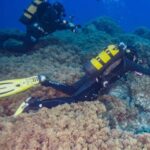 Double Dive the Azores, in the middle of the Atlantic Ocean - Why This Tour Offers True Value