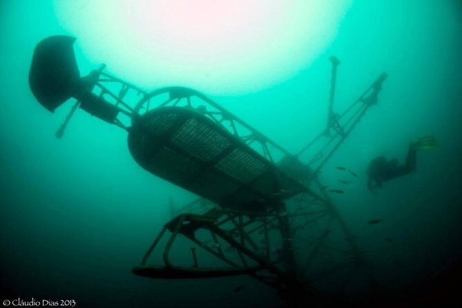 Double Dive the Fantastic Ocean Revival Park - A Closer Look at the Ocean Revival Experience