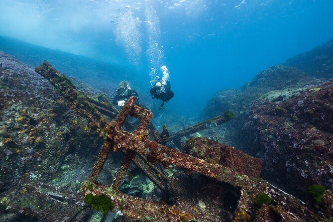 Double Dive to South Solitary Island Coffs Harbour - First Dive: Seeing the Underwater World