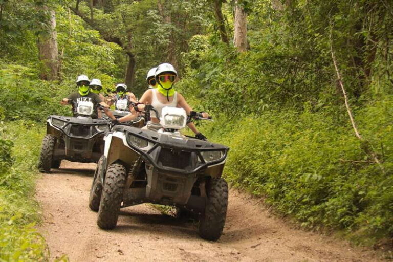 Double or Single Rider ATV Jungle Tour - A Closer Look at the ATV Jungle Tour in Jalisco