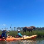 Double Sit on Top Kayak Rental at Assateague Island, MD - The Sum Up: Is This the Right Fit for You?