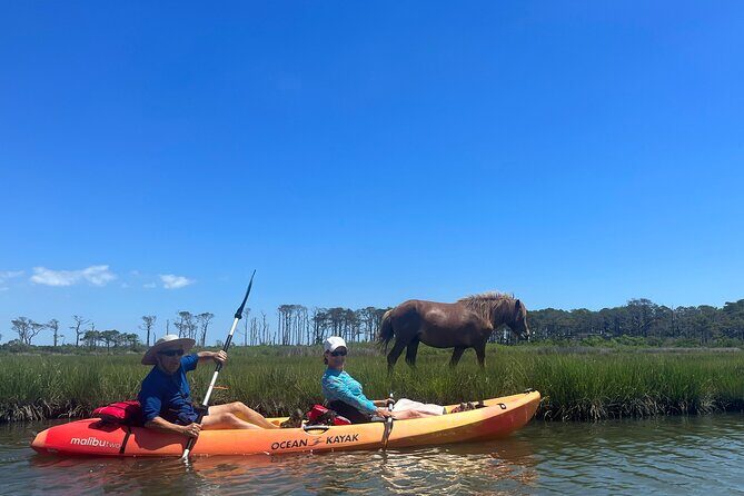 Double Sit on Top Kayak Rental at Assateague Island, MD - The Sum Up: Is This the Right Fit for You?