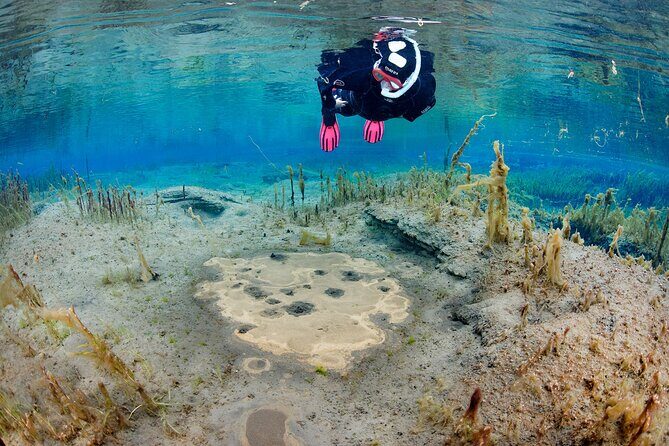 Double Snorkeling Adventure near Húsavík in North Iceland - The Sum Up: Who Should Consider This Tour?