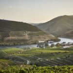 Douro and Port tasting Quinta do Bomfim - The Experience at Quinta do Bomfim: What to Expect