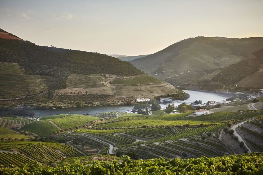 Douro and Port tasting Quinta do Bomfim - The Experience at Quinta do Bomfim: What to Expect