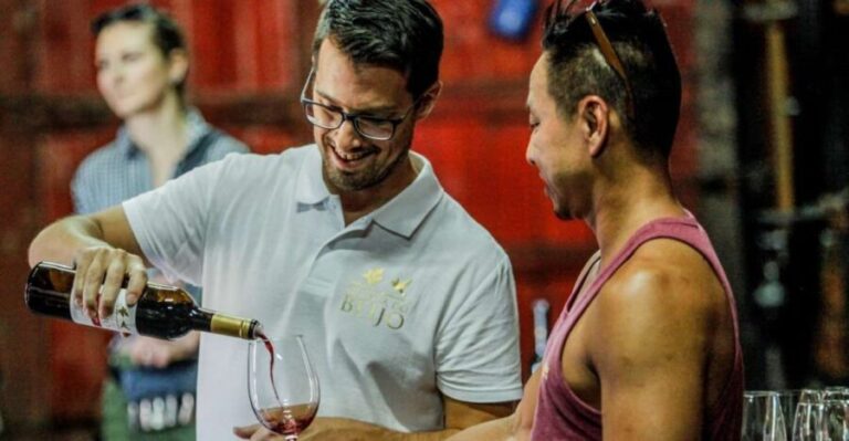 Douro: Classic Wine Tasting with Guided Tour - Exploring the Douro: An Authentic Wine Journey
