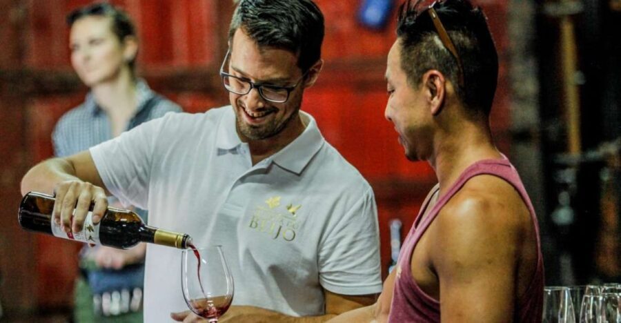 Douro: Classic Wine Tasting with Guided Tour - Exploring the Douro: An Authentic Wine Journey