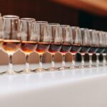 Douro Discovery Tasting - Who Will Love This Tour?