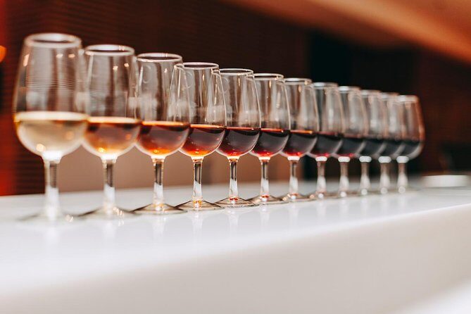 Douro Discovery Tasting - Who Will Love This Tour?