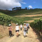 Douro from Porto: adventure ride with walk and local lunch - What’s Included & Practical Details