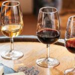 Douro from Porto: vintage tasting in a secret wine estate - Why This Tour Stands Out