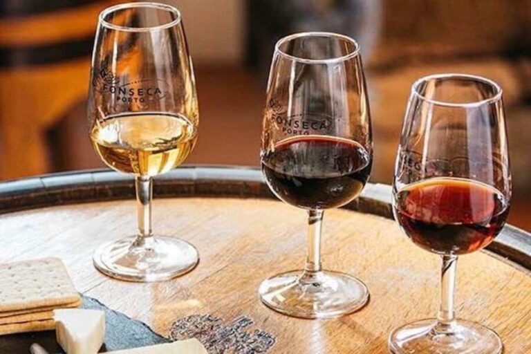 Douro from Porto: vintage tasting in a secret wine estate - Why This Tour Stands Out