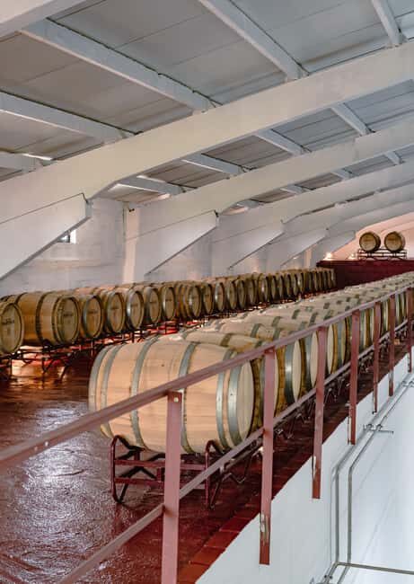 Douro: Martha's Cellar - Visit and Tawny Tasting - Final Thoughts
