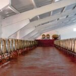 Douro: Martha's Selection - Premium Wine Tour and Tasting - What Sets This Tour Apart?