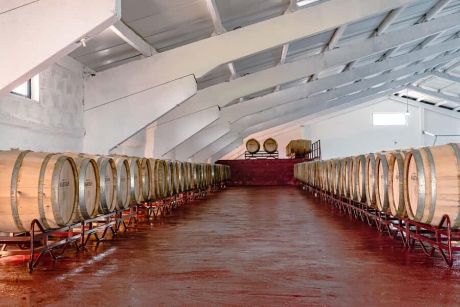 Douro: Martha's Selection - Premium Wine Tour and Tasting - What Sets This Tour Apart?