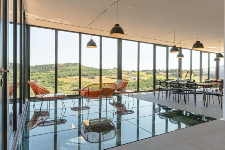 Douro: Martha's Welcome - Wine Tour and Tasting - A Deep Dive into the Martha’s Experience 360 Tour