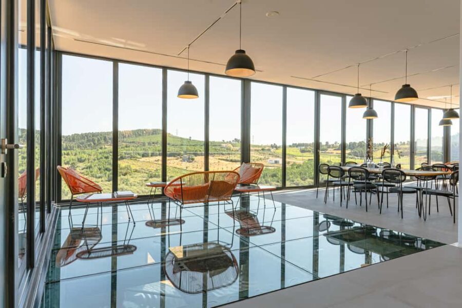 Douro: Martha's Welcome - Wine Tour and Tasting - A Deep Dive into the Martha’s Experience 360 Tour