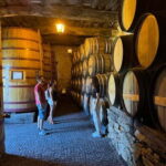Douro offroad experience: visit to a winery and a picnic - Final Thoughts