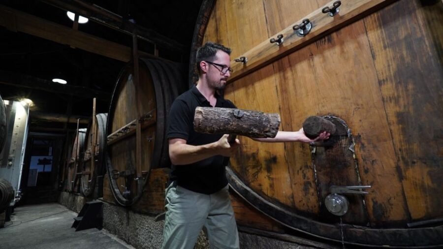 Douro: Porto Wine Tasting with Guided Tour - Exploring the Experience in Detail