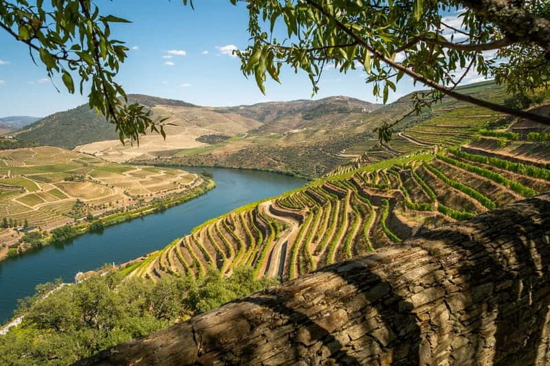 Douro Private Tour  Customizable Experience - What Makes This Tour Stand Out?