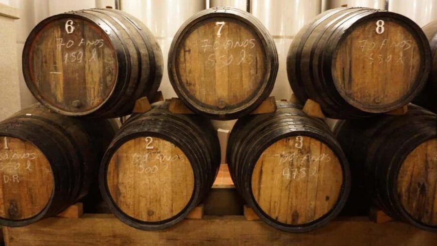 Douro: Quinta Levandeira do Roncão Tour & Wine Tasting - Practical Information and Tips