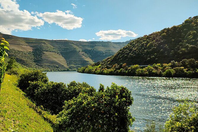 Douro | Roots & History - Tour with a local - Authenticity and Value for Money