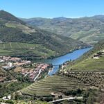 Douro Tour: Wine Tastings, Boat Ride & Manor House Lunch - Who Is This Tour Best For?