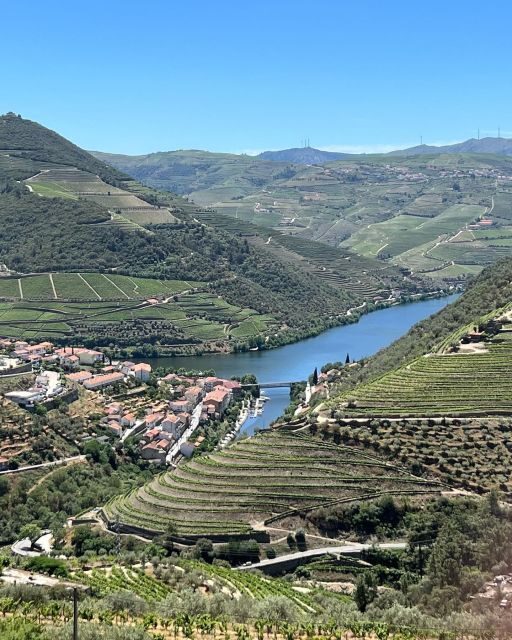 Douro Tour: Wine Tastings, Boat Ride & Manor House Lunch - Who Is This Tour Best For?