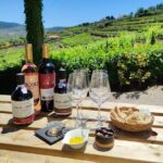 Douro Tour with Wine Tasting, River Cruise and Visit to Lamego - What’s Included and What to Keep in Mind