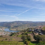 Douro: Traditional Harvest Lunch at Quinta de Sobre a Fonte - How this tour balances value and experience