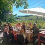 Douro Valley: 2 Vineyard Visits with Lunch and River Cruise - Who Should Consider This Tour?