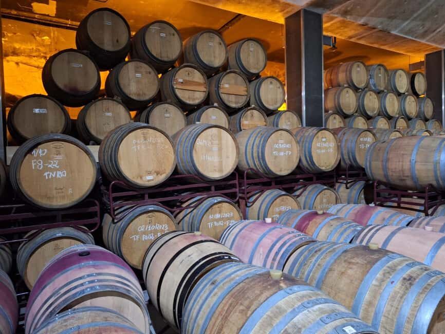 Douro Valley: 2 Wineries, Lunch & Boat - The Value of This Experience