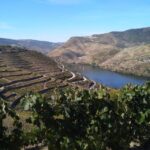 Douro Valley & Amarante - from Porto, Braga or Guimarães - Who Should Consider This Tour?