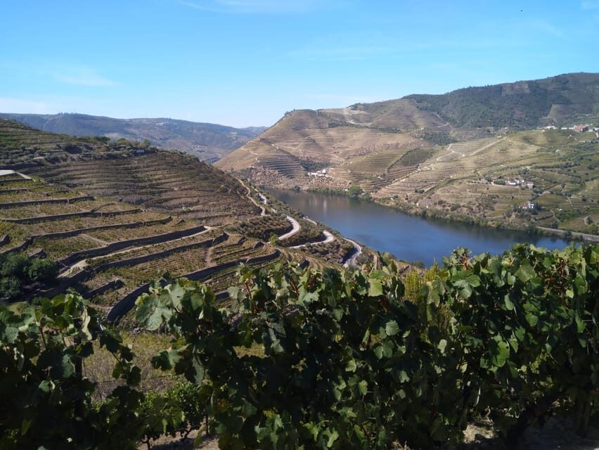 Douro Valley & Amarante - from Porto, Braga or Guimarães - Who Should Consider This Tour?