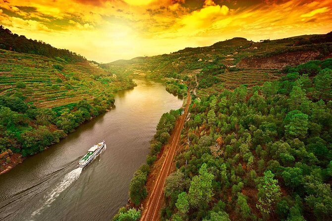 Douro Valley and Régua Panoramic Cruise with Lunch from Porto - What Travelers Are Loving (and What Could Be Better)
