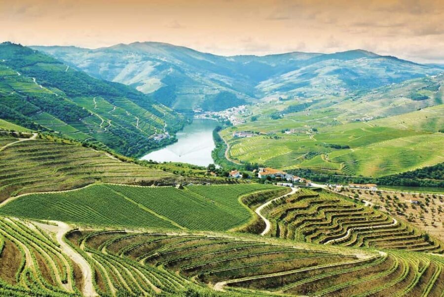 Douro Valley: Cruise & vineyard discovery from Porto or Aveiro - Discovering the Douro Valley: A Deep Dive