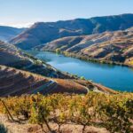 Douro Valley Delights Wine Tasting and Scenic Vistas - What Makes This Tour Stand Out?