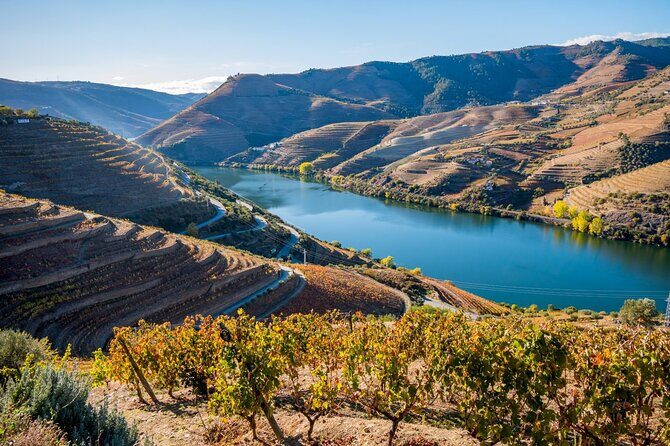 Douro Valley Delights Wine Tasting and Scenic Vistas - What Makes This Tour Stand Out?